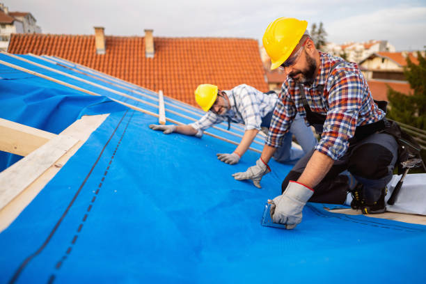 Best Roof Gutter Cleaning  in Broadlands, VA