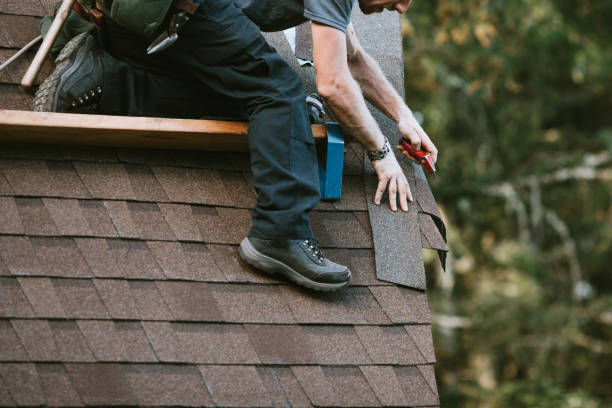 Best Roof Restoration Services  in Broadlands, VA